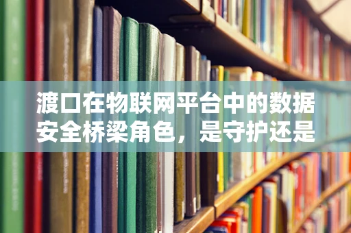 渡口在物联网平台中的数据安全桥梁角色，是守护还是风险点？