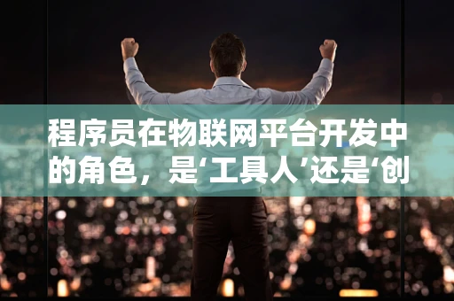 程序员在物联网平台开发中的角色，是‘工具人’还是‘创新者’？