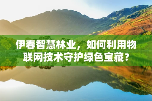 伊春智慧林业，如何利用物联网技术守护绿色宝藏？