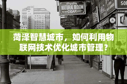 菏泽智慧城市，如何利用物联网技术优化城市管理？