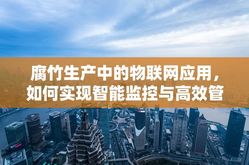 腐竹生产中的物联网应用，如何实现智能监控与高效管理？