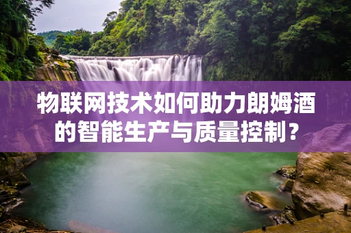 物联网技术如何助力朗姆酒的智能生产与质量控制？