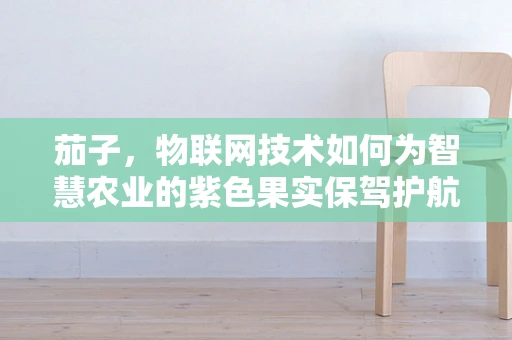 茄子，物联网技术如何为智慧农业的紫色果实保驾护航？