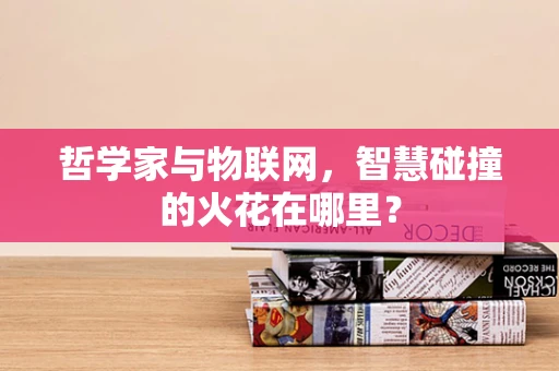 哲学家与物联网，智慧碰撞的火花在哪里？