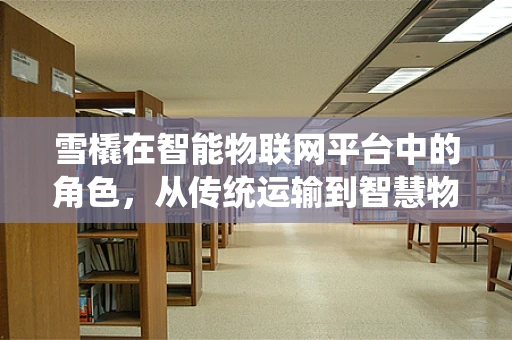 雪橇在智能物联网平台中的角色，从传统运输到智慧物流的转变？