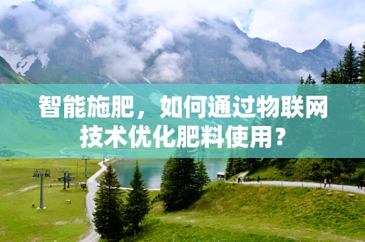 智能施肥，如何通过物联网技术优化肥料使用？