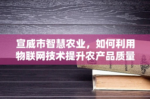 宣威市智慧农业，如何利用物联网技术提升农产品质量与安全？