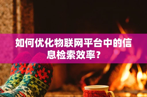 如何优化物联网平台中的信息检索效率？