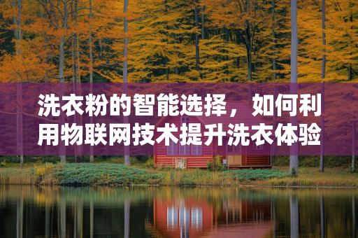 洗衣粉的智能选择，如何利用物联网技术提升洗衣体验？
