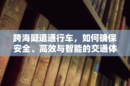 跨海隧道通行车，如何确保安全、高效与智能的交通体验？