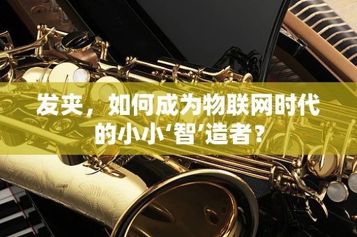 发夹，如何成为物联网时代的小小‘智’造者？