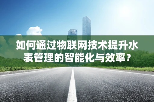 如何通过物联网技术提升水表管理的智能化与效率？