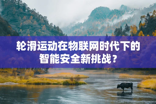 轮滑运动在物联网时代下的智能安全新挑战？