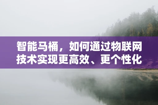 智能马桶，如何通过物联网技术实现更高效、更个性化的卫生体验？