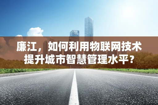 廉江，如何利用物联网技术提升城市智慧管理水平？