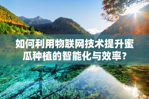 如何利用物联网技术提升蜜瓜种植的智能化与效率？