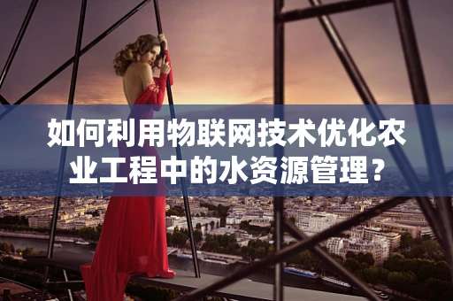 如何利用物联网技术优化农业工程中的水资源管理？