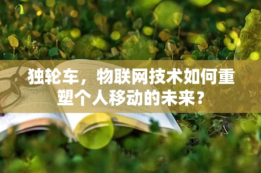 独轮车，物联网技术如何重塑个人移动的未来？