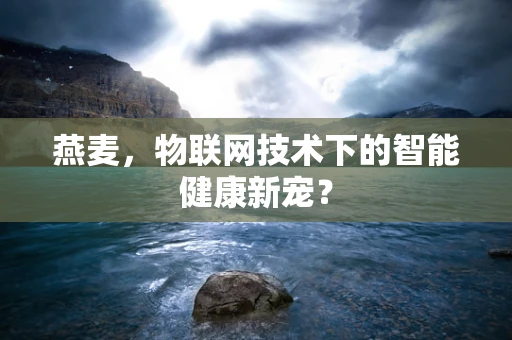 燕麦，物联网技术下的智能健康新宠？