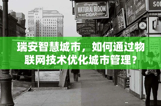 瑞安智慧城市，如何通过物联网技术优化城市管理？