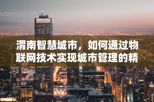 渭南智慧城市，如何通过物联网技术实现城市管理的精细化与智能化？