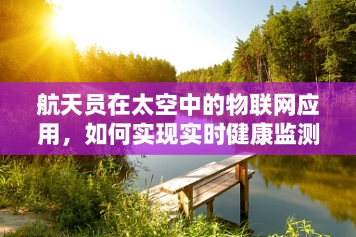 航天员在太空中的物联网应用，如何实现实时健康监测？