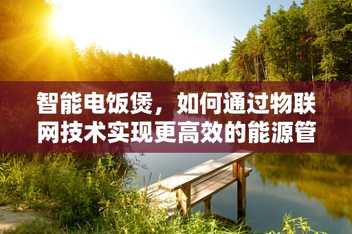 智能电饭煲，如何通过物联网技术实现更高效的能源管理？
