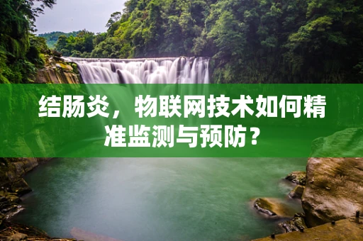 结肠炎，物联网技术如何精准监测与预防？