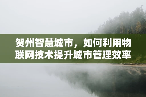 贺州智慧城市，如何利用物联网技术提升城市管理效率？