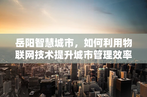 岳阳智慧城市，如何利用物联网技术提升城市管理效率？