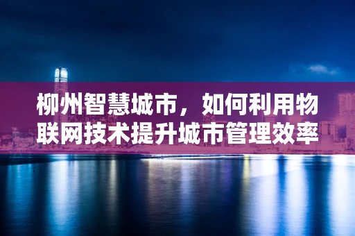 柳州智慧城市，如何利用物联网技术提升城市管理效率？