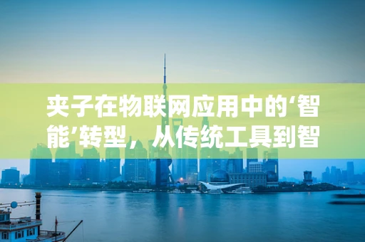 夹子在物联网应用中的‘智能’转型，从传统工具到智能监控的跨越？