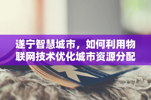 遂宁智慧城市，如何利用物联网技术优化城市资源分配？
