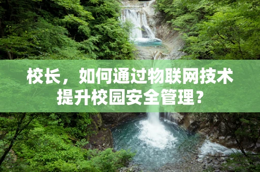 校长，如何通过物联网技术提升校园安全管理？