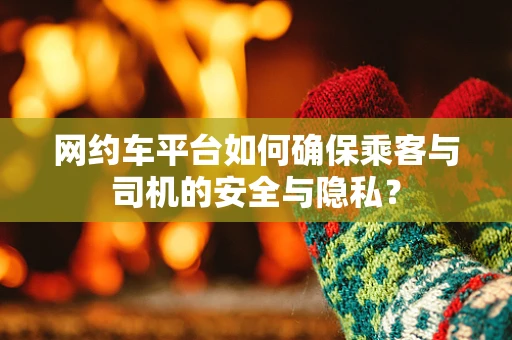 网约车平台如何确保乘客与司机的安全与隐私？