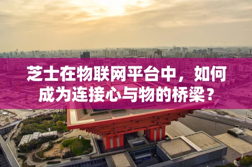 芝士在物联网平台中，如何成为连接心与物的桥梁？