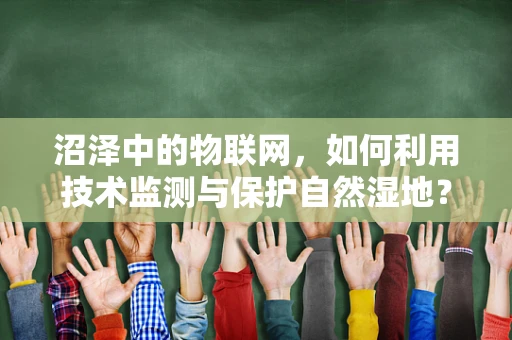 沼泽中的物联网，如何利用技术监测与保护自然湿地？