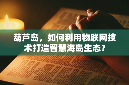 葫芦岛，如何利用物联网技术打造智慧海岛生态？
