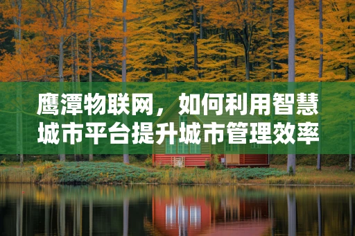 鹰潭物联网，如何利用智慧城市平台提升城市管理效率？
