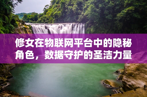 修女在物联网平台中的隐秘角色，数据守护的圣洁力量