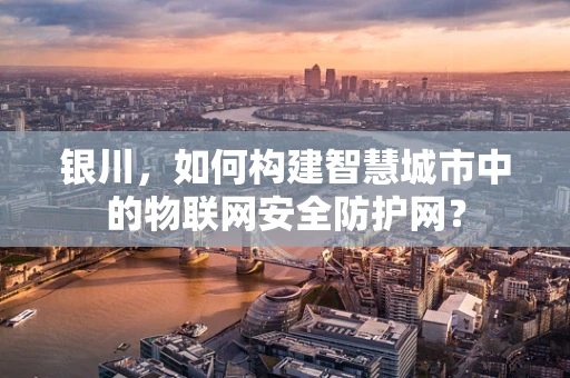 银川，如何构建智慧城市中的物联网安全防护网？