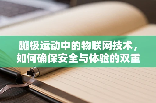 蹦极运动中的物联网技术，如何确保安全与体验的双重提升？
