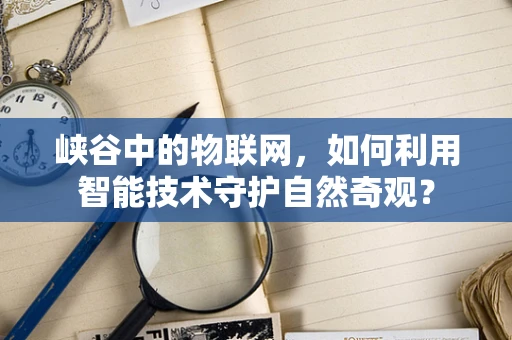 峡谷中的物联网，如何利用智能技术守护自然奇观？