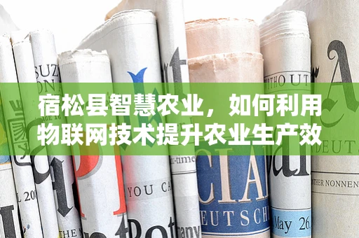 宿松县智慧农业，如何利用物联网技术提升农业生产效率？