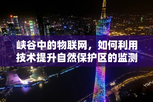 峡谷中的物联网，如何利用技术提升自然保护区的监测效率？