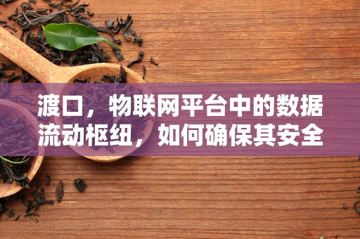 渡口，物联网平台中的数据流动枢纽，如何确保其安全与高效？