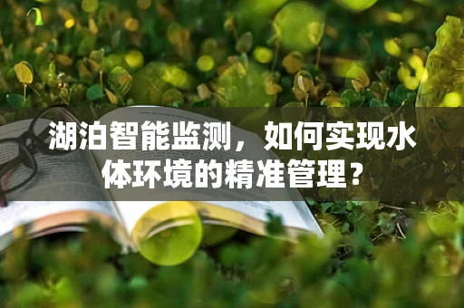 湖泊智能监测，如何实现水体环境的精准管理？