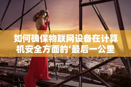 如何确保物联网设备在计算机安全方面的‘最后一公里’？