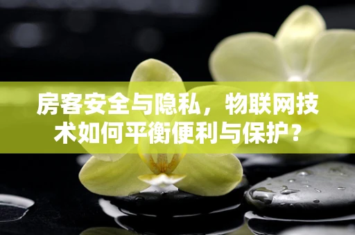 房客安全与隐私，物联网技术如何平衡便利与保护？