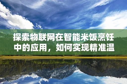 探索物联网在智能米饭烹饪中的应用，如何实现精准温控与营养管理？